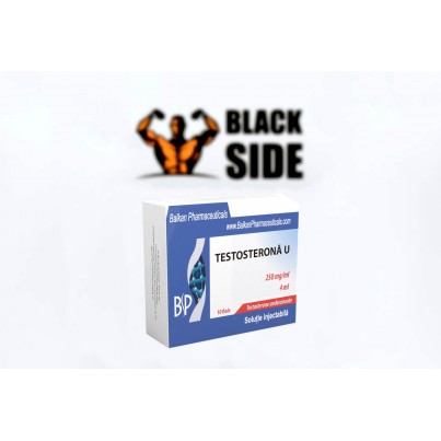 Testosterone U Тестостерон Ундеканоат Balkan Pharmaceuticals | 250 мг - 4 мл/ампула