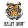 Malay Tiger