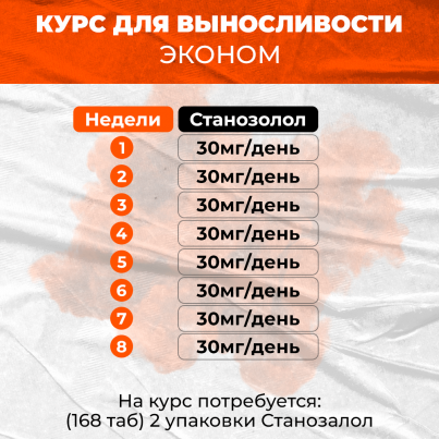 Курс для выносливости Эконом