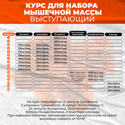 Курс для набора мышечной массы Выступающий