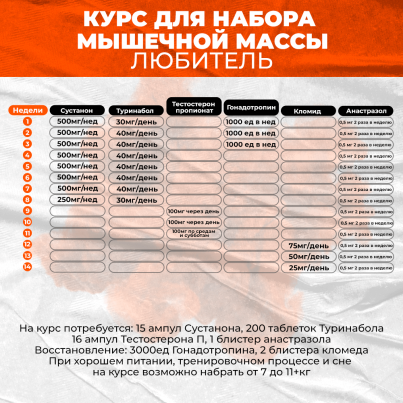 Курс для набора мышечной массы Любитель