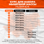 Курс для набора мышечной массы Новичок - BlackSide.com.ua Курс для набора мышечной массы Новичок - Black Side