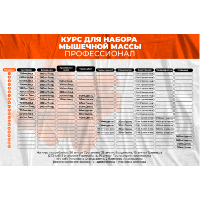 Курс для набора мышечной массы Профессионал