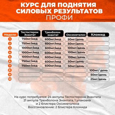 Курс для поднятия силовых результатов Профи