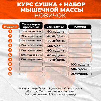 Курс сушка + набор мышечной массы Новичок