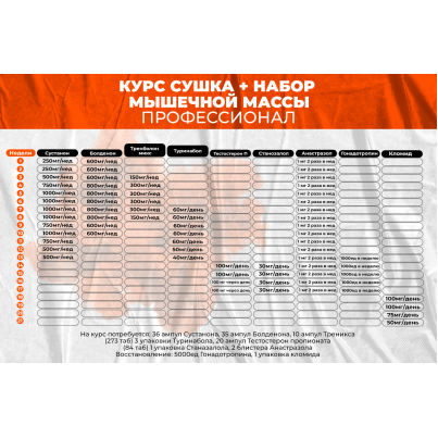 Курс сушка + набор мышечной массы Профессионал