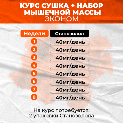 Курс сушка + набор мышечной массы Эконом