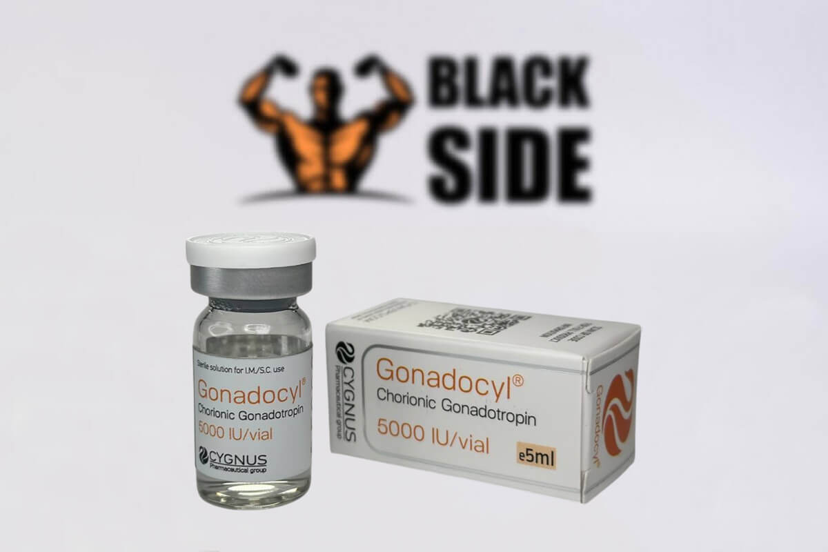 Gonadocyl Гонадотропин Cygnus | 5000 IU - Black Side