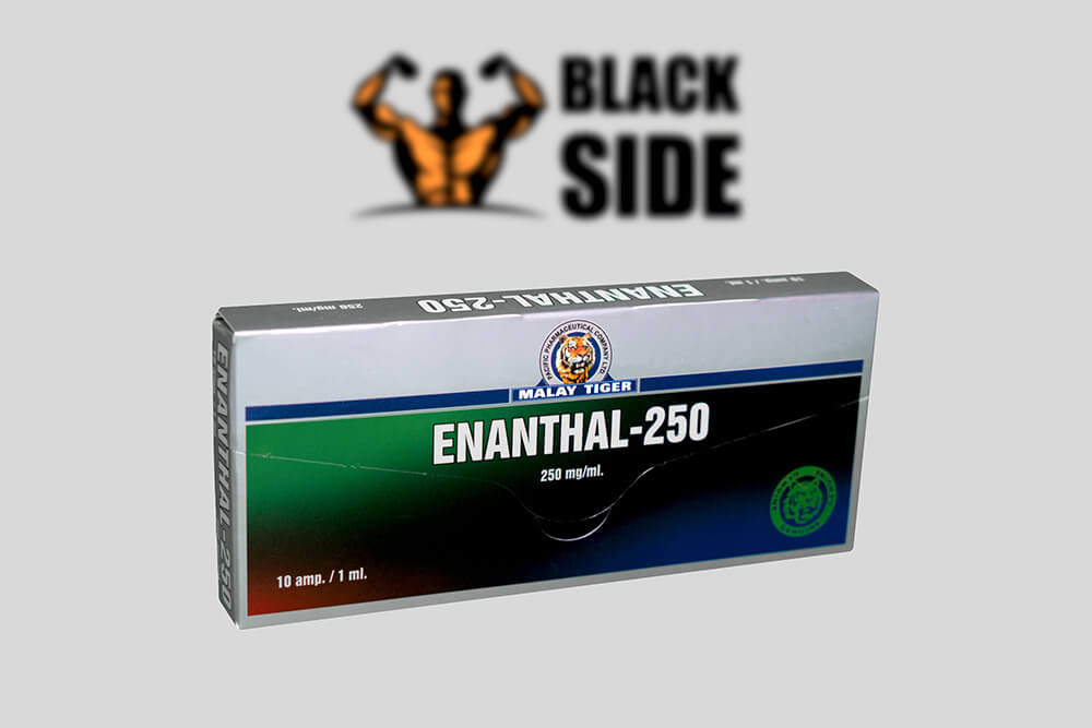 Enanthal-250 Тестостерон Энантат Malay Tiger | 1 ампула/мл - 250 мг/мл - Black Side