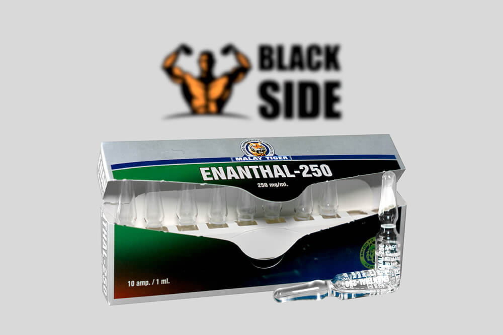 Enanthal-250 Тестостерон Энантат Malay Tiger | 1 ампула/мл - 250 мг/мл - Black Side