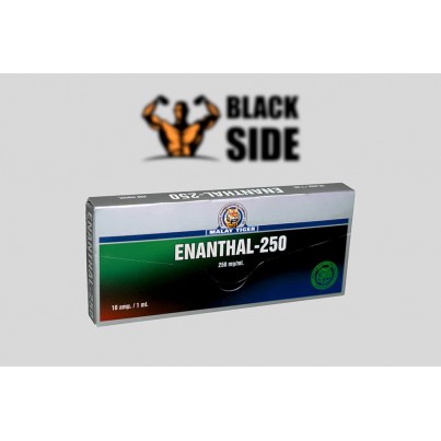 Enanthal-250 Тестостерон Энантат Malay Tiger | 1 ампула/мл - 250 мг/мл