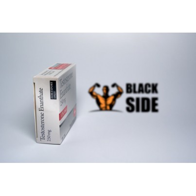 Testosterone Enanthate Тестостерон Энантат Swiss Remedies | 1 ампула/мл - 250 мг/мл