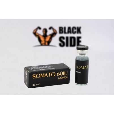 Somato Гормон Роста Zillt Medicine | 60 IU (5ml)
