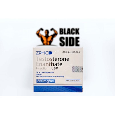 Testosterone Enanthate Тестостерон Энантат ZPHC | 1 ампула/мл - 250 мг/мл